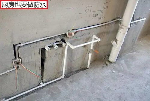仓鼠管道笼子堵头怎么疏通(仓鼠笼子管道怎么装)