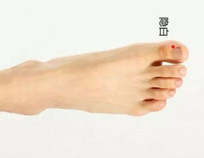 拇指管道疏通器怎么用的(拇指通什么经络)