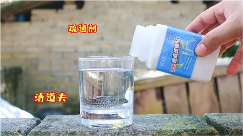 绿雨伞管道疏通剂怎么用(绿雨伞管道疏通剂怎么用的)