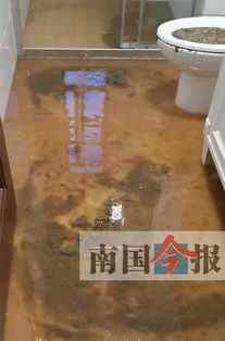 粪水管道堵了怎么疏通(粪管堵了怎么办) 粪水管道堵了怎么疏通(粪管堵了怎么办)