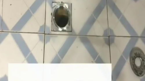疏通管道进不去怎么办(疏通管道进不去怎么办呢) 疏通管道进不去怎么办(疏通管道进不去怎么办呢)