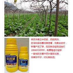 绿马管道疏通剂怎么用(绿马管道疏通剂怎么用效果好)
