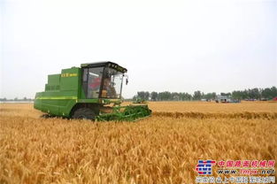 收割机水箱怎么疏通管道(收割机水箱怎么疏通管道的)