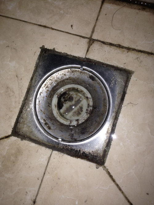 水垢堵了地漏怎么疏通管道(水垢堵了地漏怎么疏通管道呢)