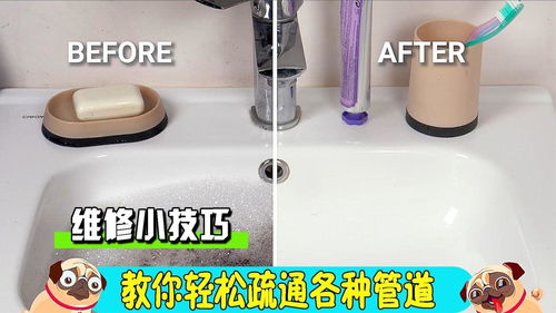 疏通管道小毛刷怎么用的(疏通小管道工具) 疏通管道小毛刷怎么用的(疏通小管道工具)