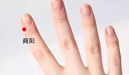 怎么用针疏通乳头管道呢(怎么用针扎乳头最疼) 怎么用针疏通乳头管道呢(怎么用针扎乳头最疼)