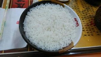 管道被饭堵死怎么疏通(管道被米饭堵了怎么办)