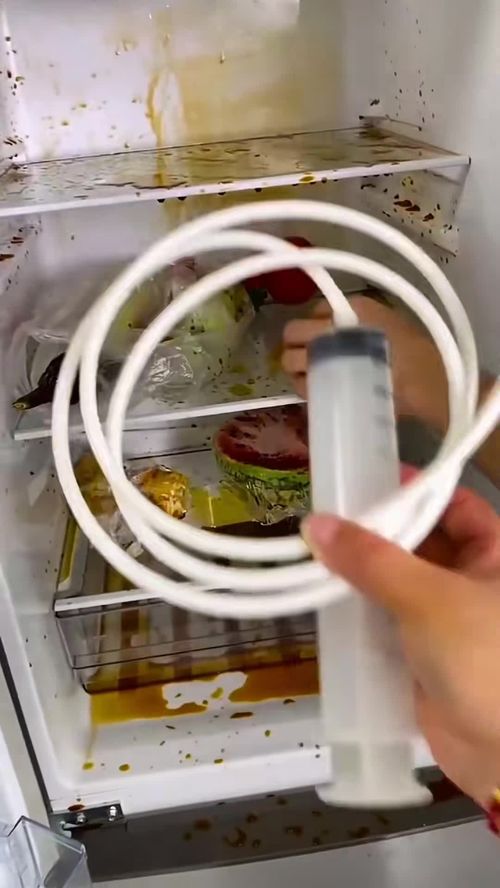 怎么使用冰箱管道疏通器(冰箱疏通器怎么用法) 怎么使用冰箱管道疏通器(冰箱疏通器怎么用法)