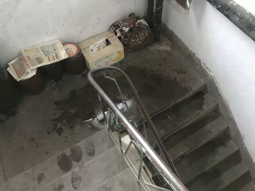 管道疏通楼房漏水怎么处理(楼宇管道疏通) 管道疏通楼房漏水怎么处理(楼宇管道疏通)