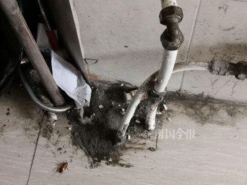 排灰尘管道长怎么疏通(排灰管道堵塞怎么办) 排灰尘管道长怎么疏通(排灰管道堵塞怎么办)