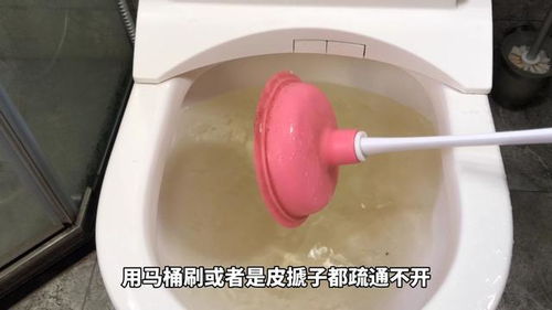 管道堵了在家怎么疏通(管道堵了在家怎么疏通呢)