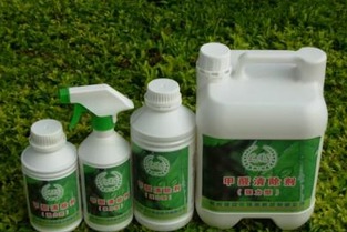 管道疏通剂绿苔怎么清理(管道疏通剂绿苔怎么清理干净)