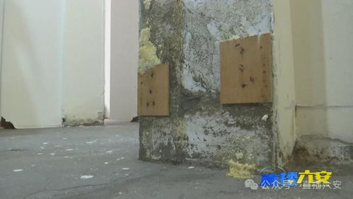 小区主管道堵怎么疏通(小区住户主管道堵了算谁的责任)