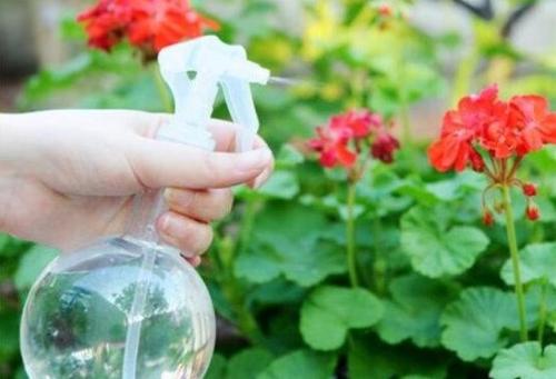 养花浇水管道怎么疏通(浇花 水管) 养花浇水管道怎么疏通(浇花 水管)