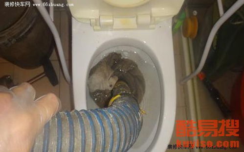 蹲便怎么疏通马桶管道(蹲马桶疏通小窍门) 蹲便怎么疏通马桶管道(蹲马桶疏通小窍门)