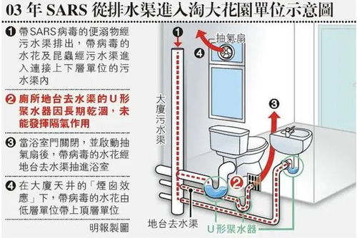 平行管道怎么疏通图解(平行管道跨接线示意图)