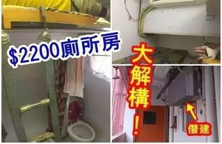 仓鼠管道笼子堵口怎么疏通(仓鼠管道笼子堵口怎么疏通的) 仓鼠管道笼子堵口怎么疏通(仓鼠管道笼子堵口怎么疏通的)