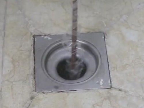 地漏真菌堵塞怎么疏通管道(地漏细菌)