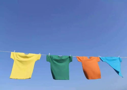 管道疏通衣服马甲怎么洗(管道疏通衣服马甲怎么洗掉)