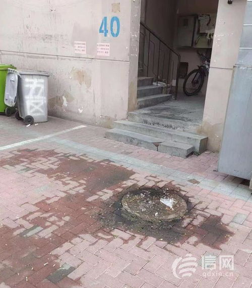 庭院污水井怎么疏通管道(庭院污水井怎么疏通管道的)