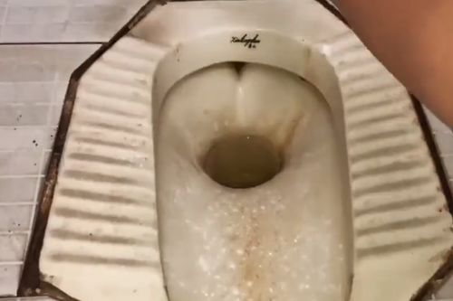 蹲坑管道堵了怎么疏通(蹲坑堵了怎么通,直管)