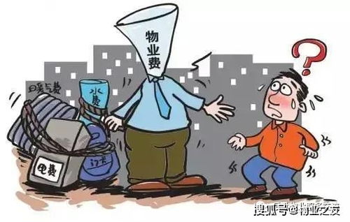 物业怎么定期疏通管道呢(物业怎么定期疏通管道呢合理吗) 物业怎么定期疏通管道呢(物业怎么定期疏通管道呢合理吗)