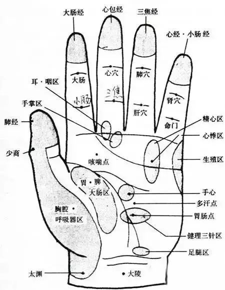 中医怎么疏通管道的经络(中医怎么疏通管道的经络呢)