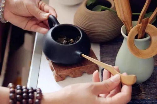 茶叶堵壶嘴怎么疏通管道(茶叶堵壶嘴怎么疏通管道图解)