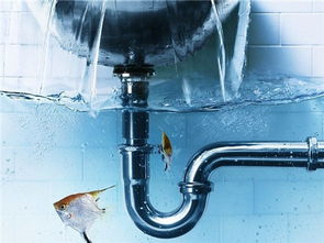 污水管道疏通怎么处理(污水水管堵住怎么样通) 污水管道疏通怎么处理(污水水管堵住怎么样通)