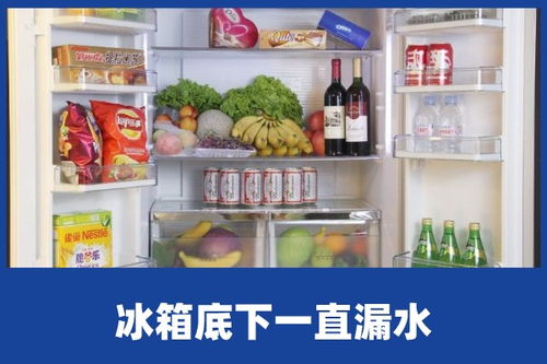 冰箱冷藏的管道怎么疏通(冰箱冷藏的管道怎么疏通的)