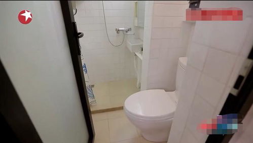 洗澡管道堵了怎么疏通(洗澡间的水管堵住了怎么办)