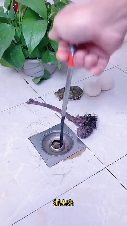 找疏通管道的人怎么找到(找人疏通管道大概多少钱)