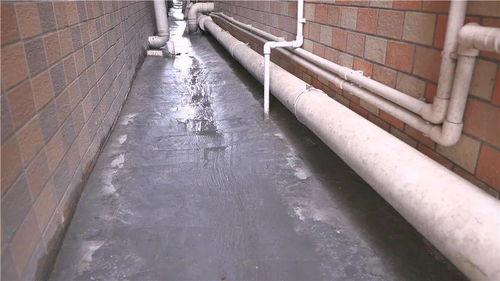 楼房排雨管道怎么疏通(楼房雨水管排水到什么地方了)