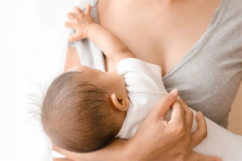 产后涨奶怎么疏通管道(产后涨奶如何通乳)