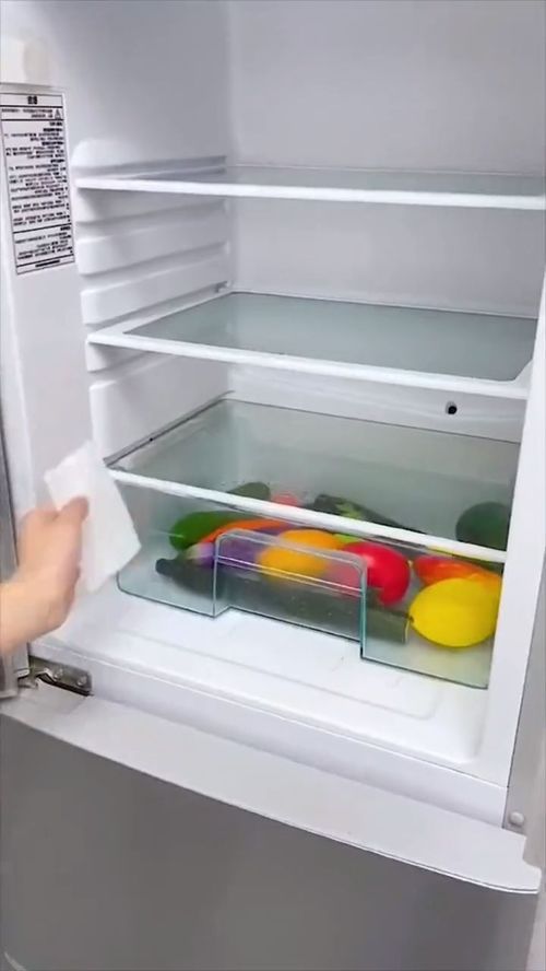 冰箱堵塞了怎么疏通管道(冰箱堵塞了怎么疏通管道呢)