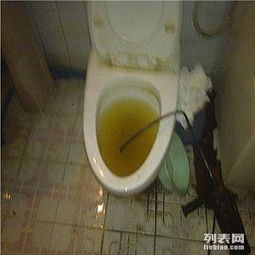 怎么疏通旋转马桶管道(旋转马桶的下水构图)