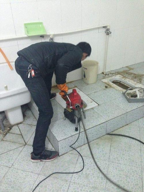 乌龟堵马桶怎么疏通管道(乌龟把马桶堵了怎么办)