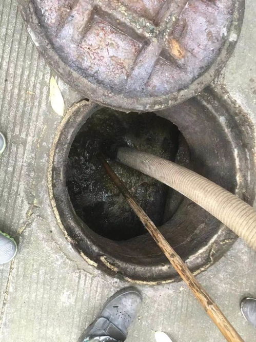 疏碳管道堵塞怎么疏通(疏碳管道堵塞怎么疏通的)