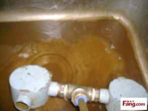 水不达标怎么疏通管道(水质不好水管道堵塞)