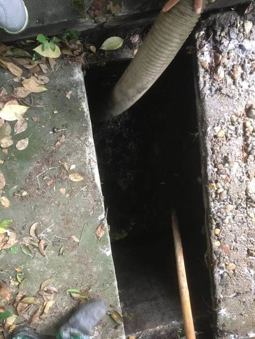 做市政管道疏通怎么接活