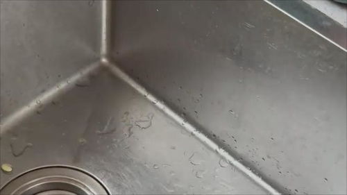 疏通管道小飞虫怎么处理(疏通管道的东西)