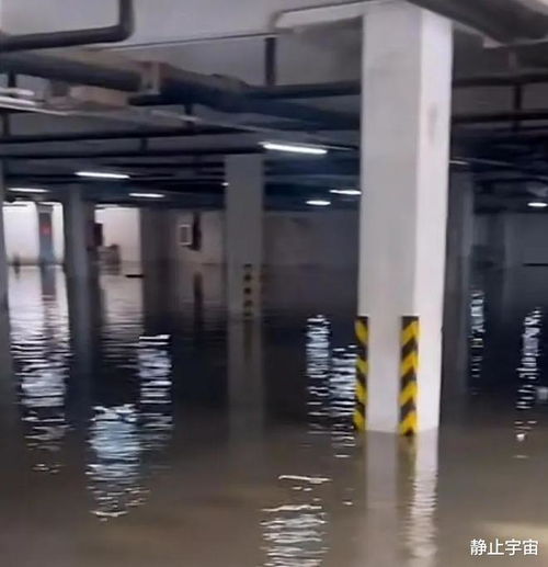 涵洞被堵怎么疏通管道(涵洞堵塞如何解决)