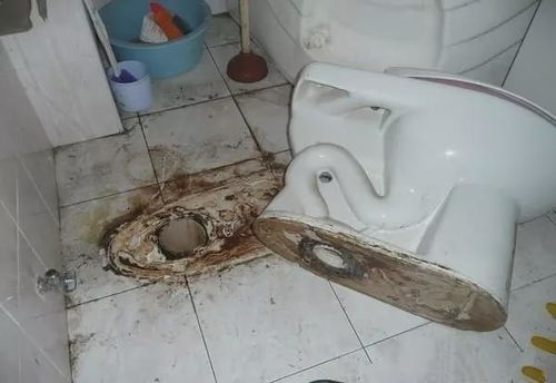马桶都碎了怎么疏通管道(马桶碎了怎么补)