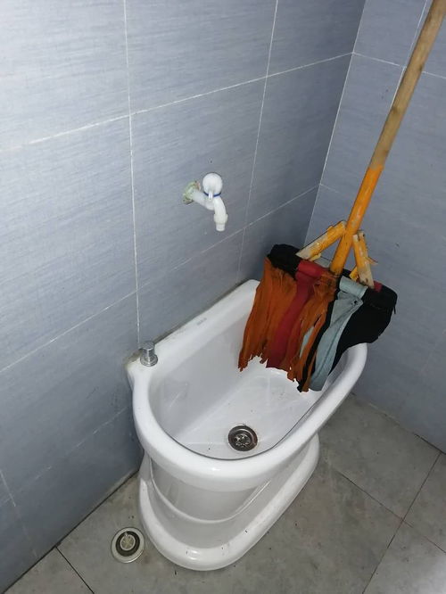 马桶疏通本地管道疏通器怎么用(马桶疏通本地管道疏通器怎么用的)