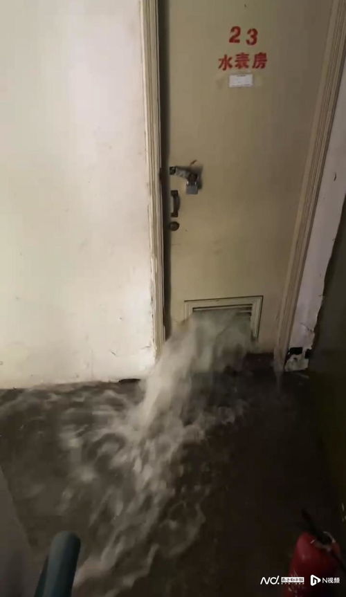 走廊管道结冰怎么疏通(走廊结冰怎么去除)