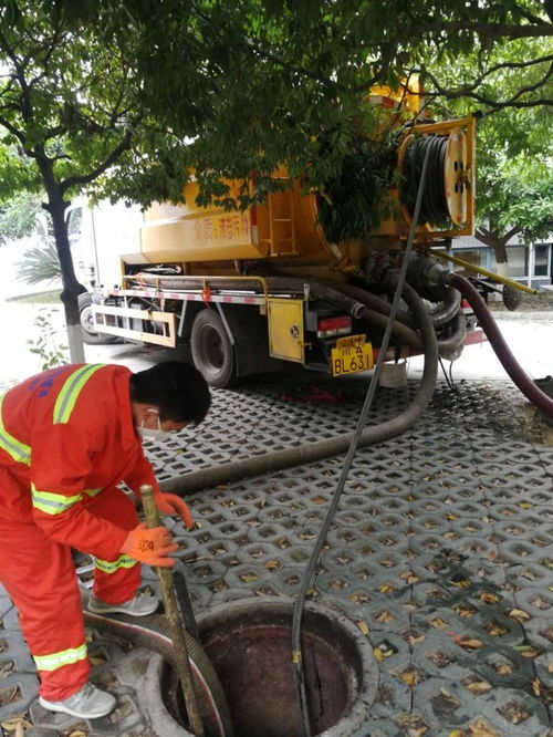 油污管道疏通怎么处理(油污管道疏通怎么处理的)