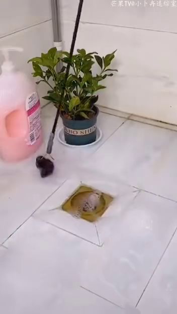 管道堵住怎么疏通好(管道堵塞不用愁,疏通有妙招!