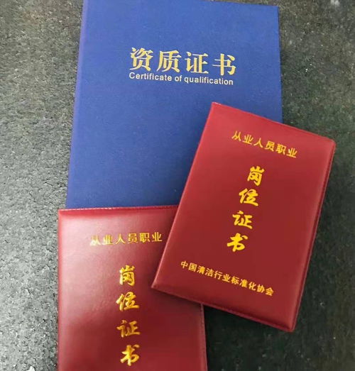 管道疏通公司怎么投标(管道疏通投标书)