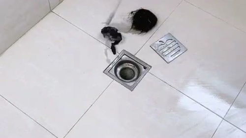 天窗怎么清洗疏通管道(天窗怎么清洗疏通管道的污垢)