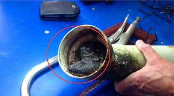 墨盒不通怎么疏通管道(墨盒堵塞不出墨)